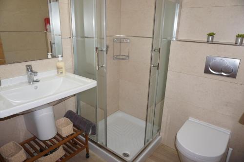 a bathroom with a shower and a sink and a toilet at Estrella del Mar II in Denia