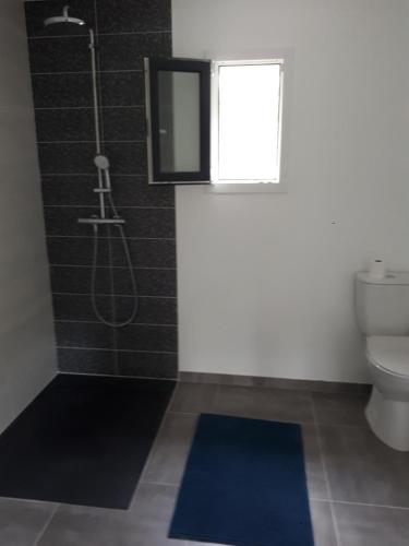 une salle de bain avec douche, toilettes et fenêtre dans l'établissement LA BRASSERIE, à Migné-Auxances