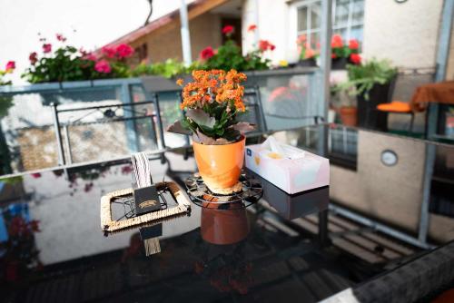 a vase of flowers sitting on a table on a balcony at Apartmán LUKA in Buchlovice
