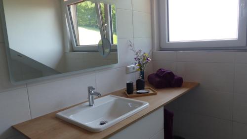 a bathroom with a sink and a mirror at Ferienwohnung Steger in Mattsee