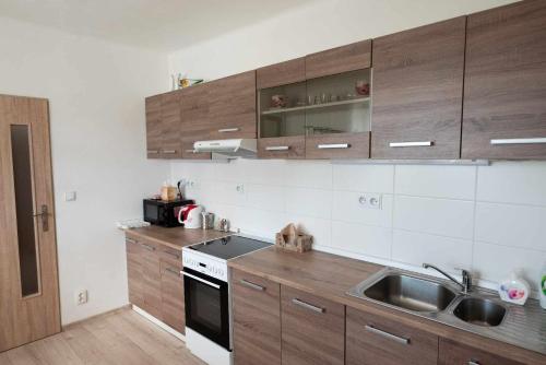 una cocina con armarios de madera y fregadero en Apartmán LUKA, en Buchlovice