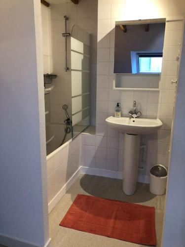 La salle de bains est pourvue d'un lavabo et d'une douche. dans l'établissement Plaisancier by Póm, à Lorient