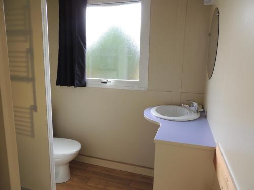 a bathroom with a toilet and a sink and a window at CHALET ATYPIQUE KOTA NOAH location en gîte salle d'eau privative à 20m in Chazemais