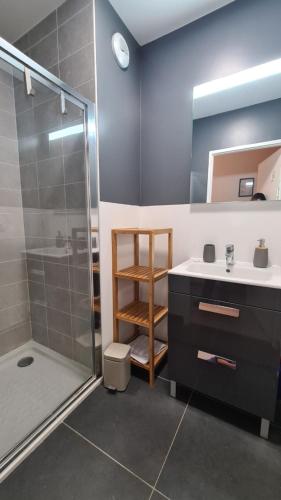 a bathroom with a shower and a sink at BIENVENUE88 in Chessy