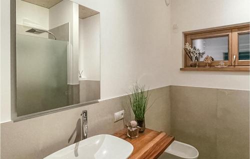 a bathroom with a sink and a mirror at Nice Home In Litzelsdorf With Outdoor Swimming Pool, Wifi And 2 Bedrooms in Litzelsdorf