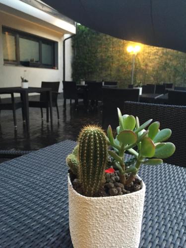 a cactus in a pot on a table in a restaurant at Acca Palace AA Hotels in Milan