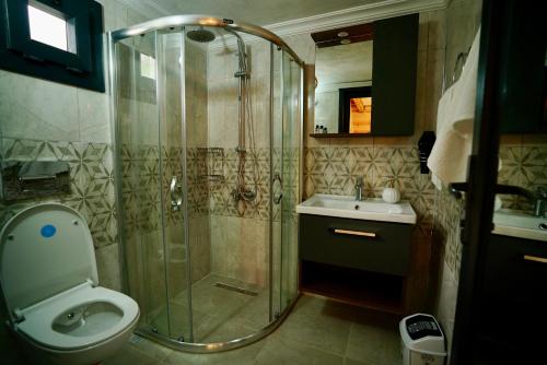 ein Bad mit einer Dusche, einem WC und einem Waschbecken in der Unterkunft PUSLİ DAĞ EVLERİ in Rize