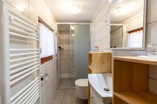 un baño con inodoro y lavabo en Apartments Kocjanc, en Bohinj