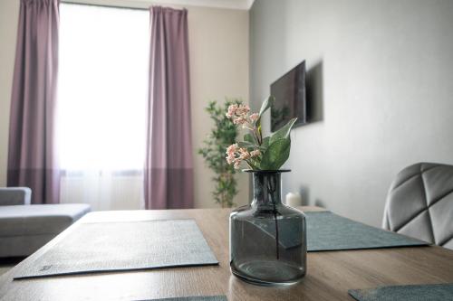 Brand new luxury 2 bedroom apartment near augarten