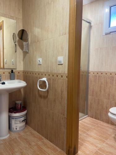 a bathroom with a shower and a sink and a toilet at El balcón del Duero in Aranda de Duero