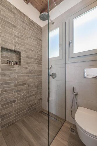 a bathroom with a glass shower and a toilet at Studios Betty in Plaka Milou
