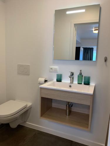 a bathroom with a sink and a toilet and a mirror at Homestay, ground floor, comfort room in Bruges
