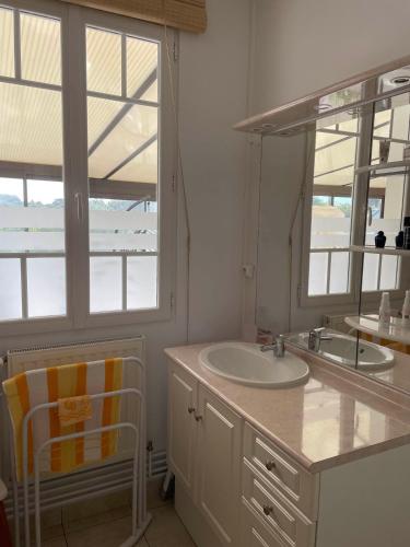 une salle de bain avec un lavabo et un miroir dans l'établissement Villa Honey Moon, à Trébeurden