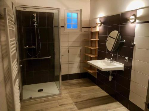 une salle de bain avec une douche, un lavabo et un miroir dans l'établissement Le Pressoir de Bigard, à Campigny