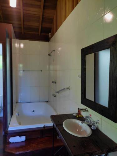 a bathroom with a sink and a tub and a mirror at Pássaro de Fogo in Santo Antônio do Pinhal