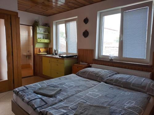 a bedroom with a bed and a bathroom with windows at Jiřinka in Vracov