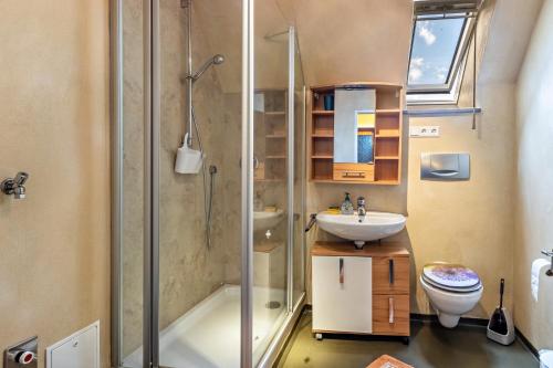 a bathroom with a shower and a sink and a toilet at Eule in Donaueschingen