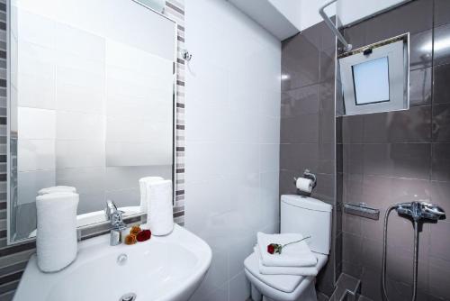 a bathroom with a sink and a toilet and a mirror at Fedra Boutique Apartments in Hersonissos