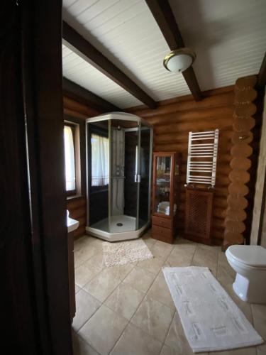 W łazience znajduje się przeszklony prysznic i toaleta. w obiekcie Relaxation in Guta Гута w mieście Guta