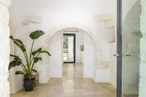 a hallway with a door and a potted plant at Trullo Vicino al Mare in Ostuni
