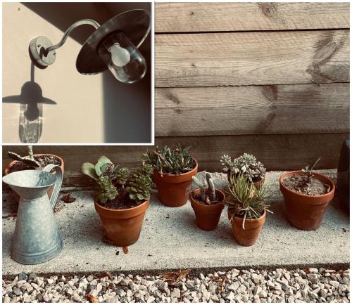 a group of potted plants sitting on a ledge at HARITZAGA chambre d'hôte terrasse & jardin privé in Biarritz