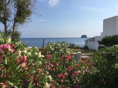 a garden of flowers with the ocean in the background at Pensione La Nassa in Stromboli