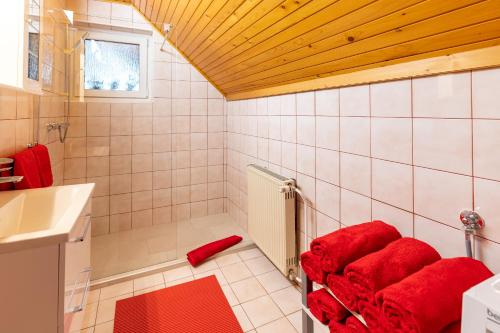 ein Badezimmer mit Dusche und roten Handtüchern auf dem Boden in der Unterkunft Apartmaji Taler in Bohinj