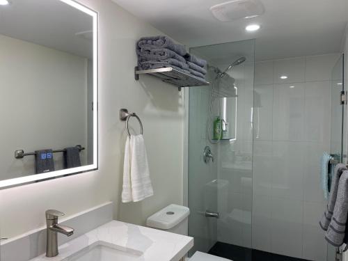 une salle de bains avec douche, toilettes et lavabo dans l'établissement Victoria Family Vacation Home - King Bed Private Yard BBQ Deck Gazebo - 4 Minutes To The Falls, à Niagara Falls