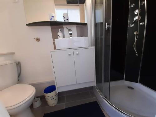 une petite salle de bain avec toilettes et douche dans l'établissement Studio, à Aubenas