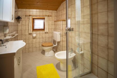 博希尼的住宿－Apartmaji Colja，浴室配有卫生间、淋浴和盥洗盆。