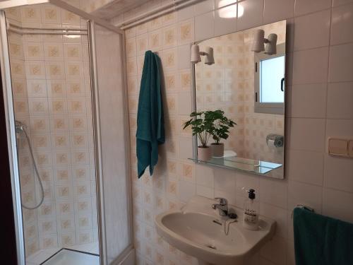 y baño con lavabo, espejo y ducha. en Casa Esteban, en Vilanova de la Reina (Villanueva de Viver)