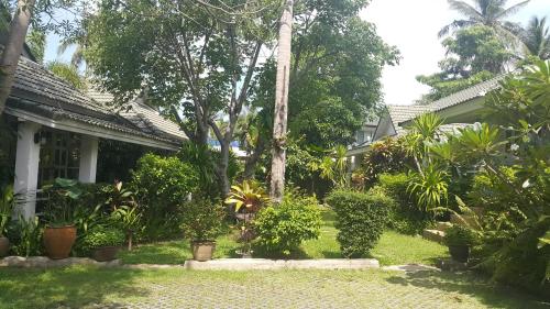 a garden in front of a house with trees and plants at Reuan Phaolai in Bophut 