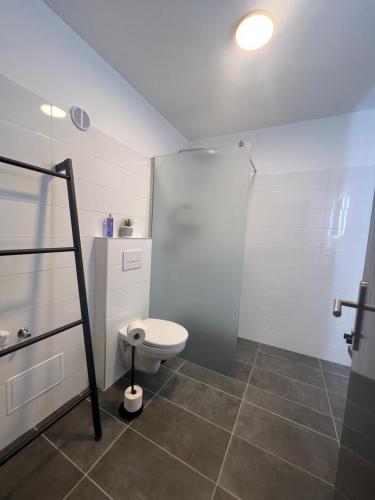 a bathroom with a toilet and a glass shower at Wolfgangsee Ferienappartement „Almliebe“ in Strobl