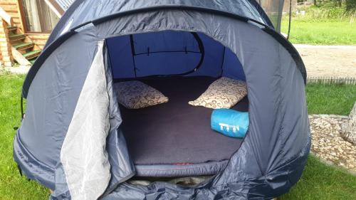 a blue tent with two pillows and a dog inside at Pensiunea La Sishe Valea Putnei in Valea Putnei