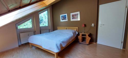 a bedroom with a bed and two windows at Traumlage mit Traumblick in Heppenheim an der Bergstrasse