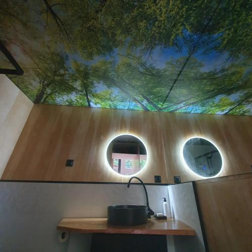 a room with a ceiling with a tree mural at Schody do wody Domek z linią brzegową Kaszuby sauna goraca balia in Roztoka