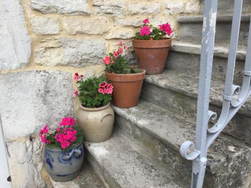 four pots of flowers sitting on some steps at Au charmant chablis in Champagnole