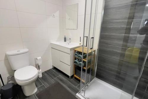 a white bathroom with a toilet and a shower at Quinta da Luena in Candemil
