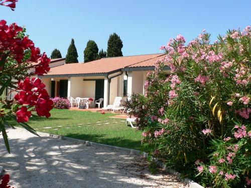 uma casa com flores cor-de-rosa no quintal em A semi detached bungalow with AC near the coast of Tuscany em La Caduta