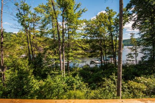a view of a lake through the trees at Stone Crest in Oakland