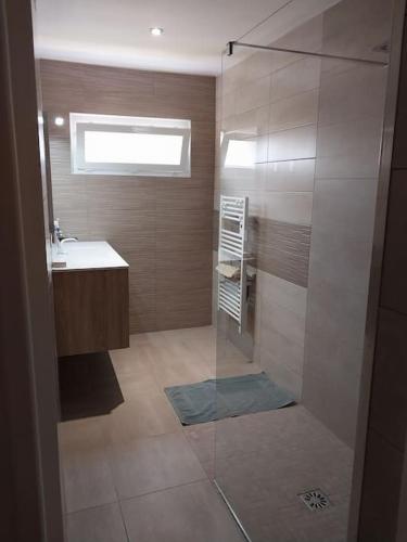 une salle de bain avec douche et lavabo dans l'établissement Maison de vacances Clos du Bayle, à Sagriès