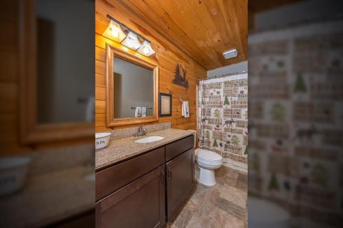 een badkamer met een wastafel, een toilet en een spiegel bij Lincoln Log Cabin in Oakland