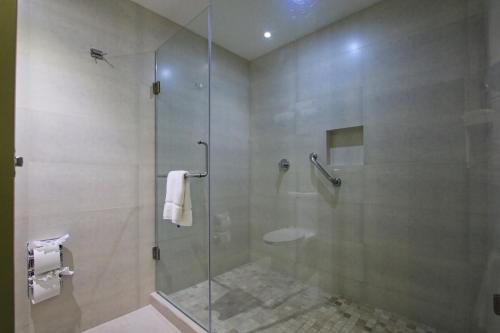 a bathroom with a shower with a glass door at Holiday Inn Leon by IHG in León