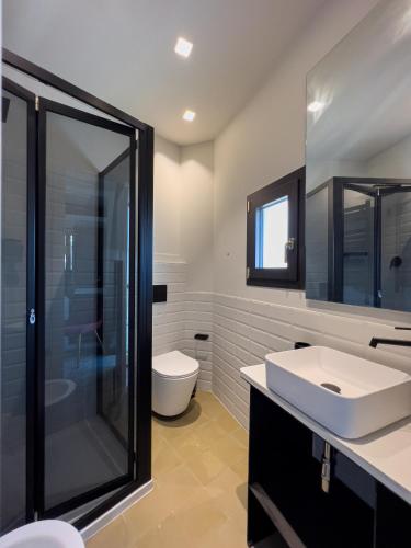 a bathroom with a shower and a sink and a toilet at VICOLO SAN GAETANO -luxury rooms- in Catania