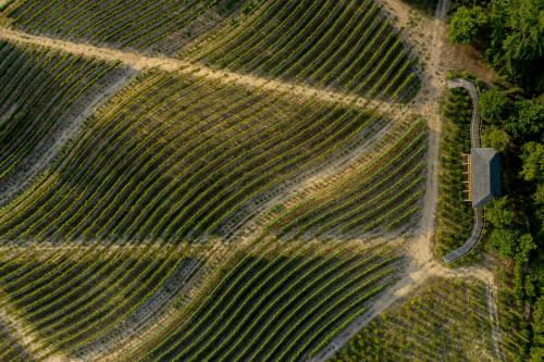 an aerial view of a field of crops at Valverde Santar Hotel & SPA - Relais & Châteaux in Santar