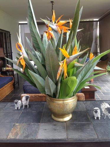 a vase filled with yellow flowers on a table at Plumbago Guest House in Hazyview