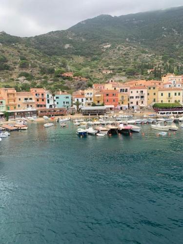 a group of boats in a body of water with buildings at Isola del Giglio casa Nico e casa Camilla Monticello Giglio Porto in Isola del Giglio