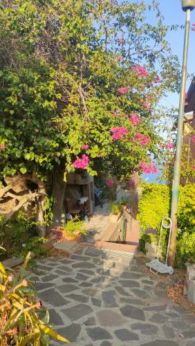 a garden with a tree with pink flowers on it at Isola del Giglio casa Nico e casa Camilla Monticello Giglio Porto in Isola del Giglio