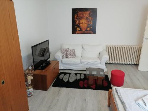 een woonkamer met een witte bank en een tv bij DUNAVSKI KEJ in Novi Sad