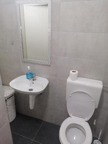 Ванная комната в DUNAVSKI KEJ